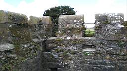 acastle
                          111195.jpg